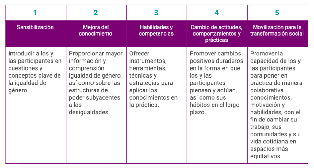 Tabla de Niveles de formación en género, para la perspectiva de género en organizaciones.