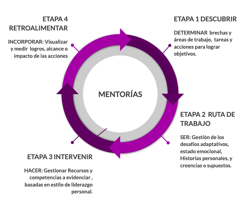 Descripción de las etapas de la mentoría