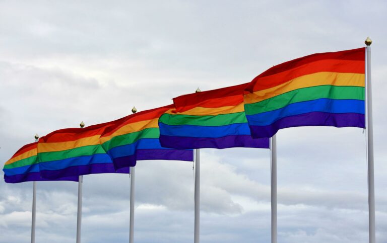 Aparecen seis banderas de la comunidad LGBTIQA+ para aludir al Día Internacional contra la Homofobia, la Transfobia y la Bifobia.