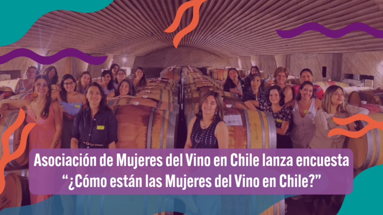 Banner donde aparece una foto de algunas de las integrantes de la Asociación de Mujeres del Vino en Chile quienes lanzaron la encuesta “¿Cómo están las Mujeres del Vino en Chile?”